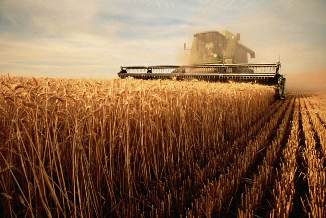 США будут бороться с доминированием РФ в сельском хозяйстве климатическим оружием