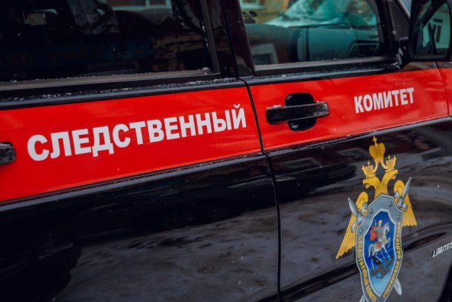 СК РФ нашел нарушения в проекте застройки сквера возле школы №121 Петербурга