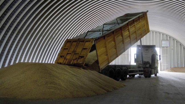 Газета Express: Венгрия и Польша поставили Украину в сложную ситуацию, отказавшись от импорта зерна